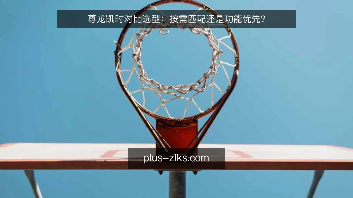 尊龙凯时对比选型:按需匹配还是功能优先?