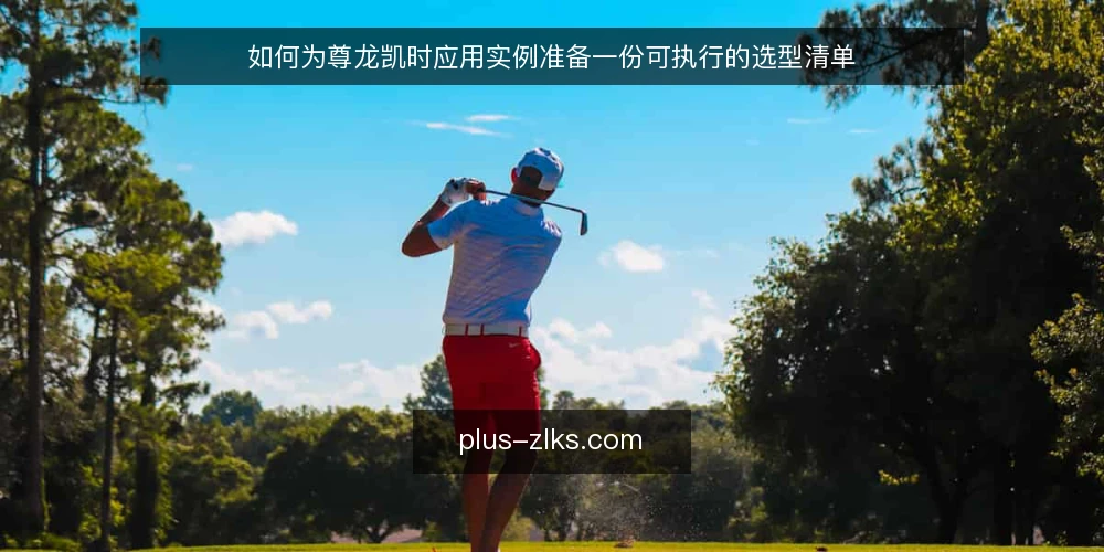 如何为尊龙凯时应用实例准备一份可执行的选型清单 — 尊龙凯时应用实例:先明确业务目标与约束条件 配图