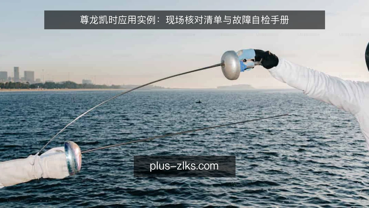 尊龙凯时应用实例:现场核对清单与故障自检手册