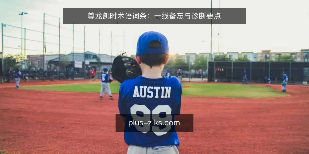 尊龙凯时术语词条:一线备忘与诊断要点 — 信号观察:尊龙凯时异常前的常见征兆 配图