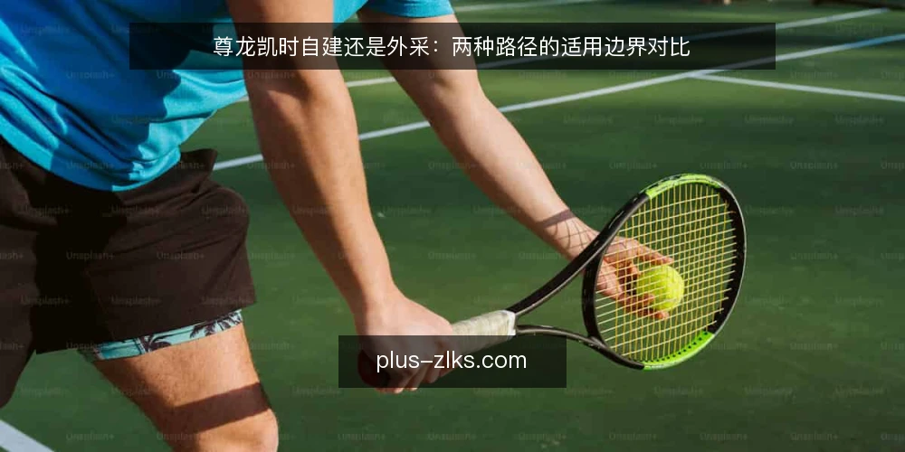 尊龙凯时自建还是外采：两种路径的适用边界对比 — 选型前先定决策标准 配图