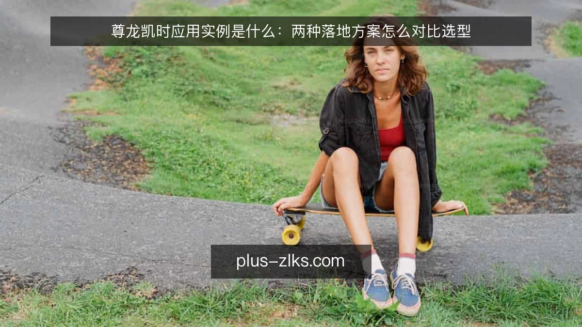 尊龙凯时应用实例是什么:两种落地方案怎么对比选型