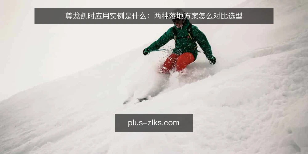 尊龙凯时应用实例是什么:两种落地方案怎么对比选型 — 先定判断标准:什么叫合适的尊龙凯时应用实例 配图