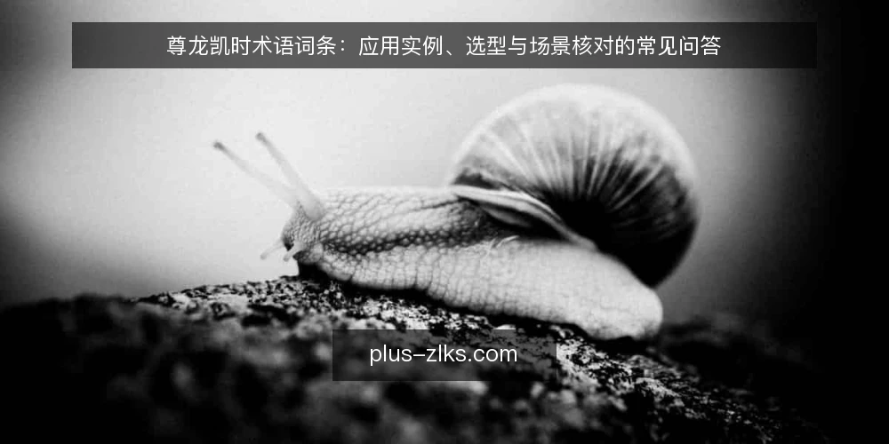 尊龙凯时术语词条:应用实例、选型与场景核对的常见问答 — 尊龙凯时应用实例相关术语速览 配图