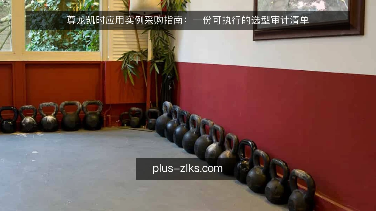 尊龙凯时应用实例采购指南:一份可执行的选型审计清单