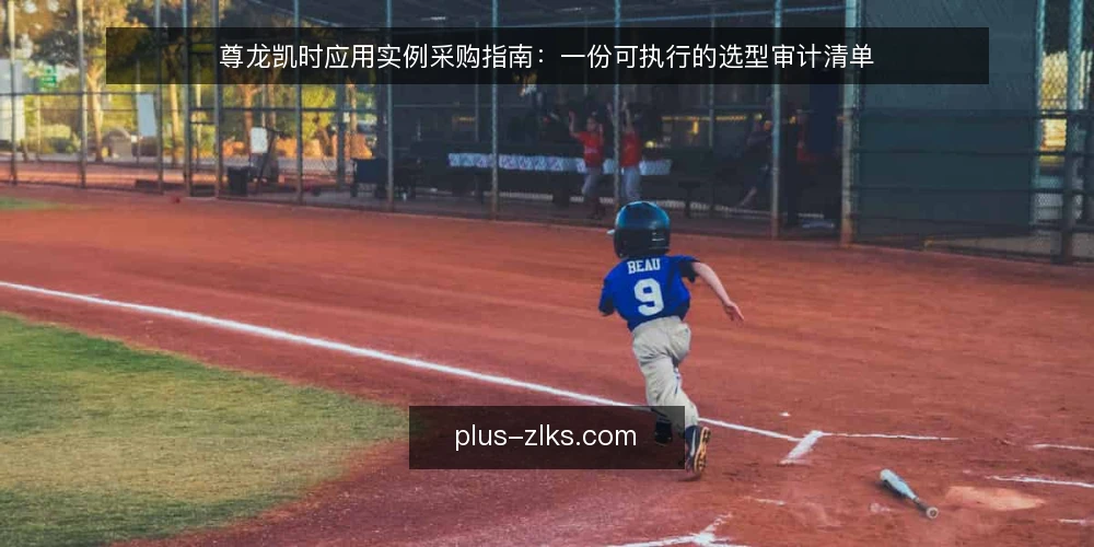 尊龙凯时应用实例采购指南:一份可执行的选型审计清单 — 为什么现在要做一次采购审计 配图