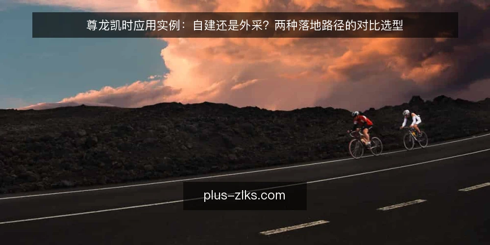尊龙凯时应用实例:自建还是外采?两种落地路径的对比选型 — 先定评估标准 配图
